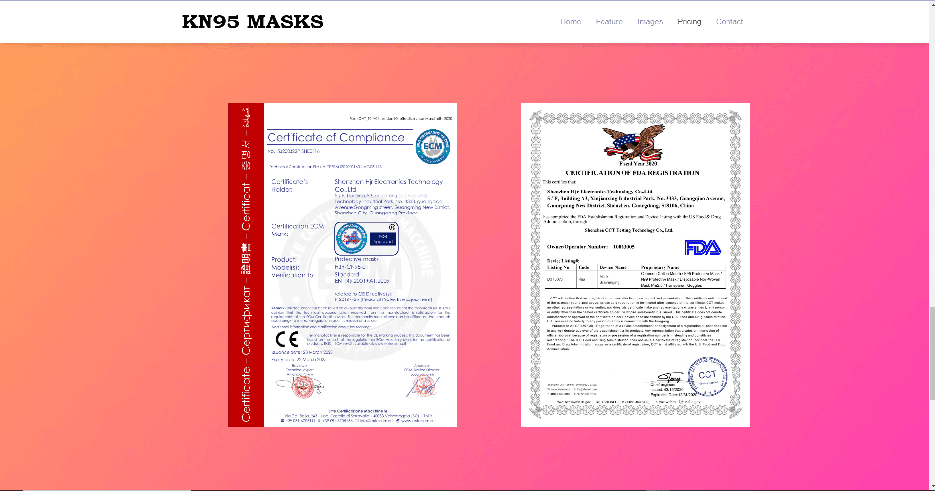 KN95 Masks